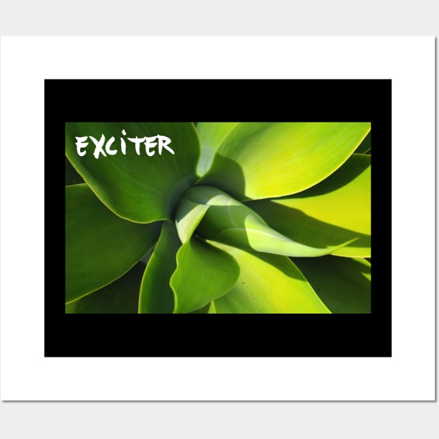 Exciter FanMode Wall Art by GermanStreetwear